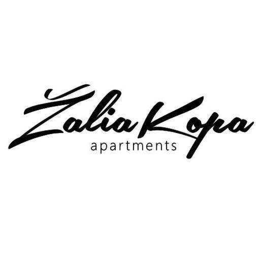 Zalia Kopa Apartments 帕兰加 外观 照片