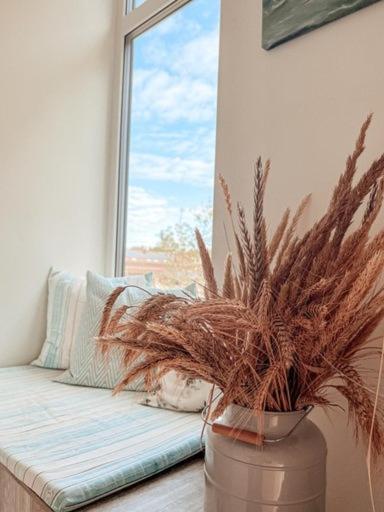 Zalia Kopa Apartments 帕兰加 外观 照片